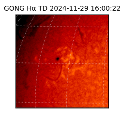 gong - 2024-11-29T16:00:22