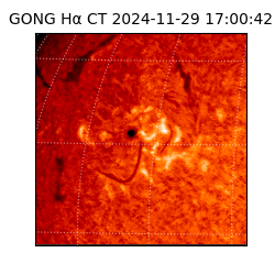 gong - 2024-11-29T17:00:42