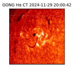 gong - 2024-11-29T20:00:42
