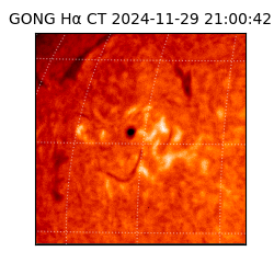 gong - 2024-11-29T21:00:42