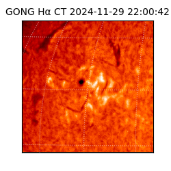 gong - 2024-11-29T22:00:42