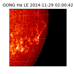 gong - 2024-11-29T02:00:42