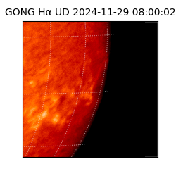 gong - 2024-11-29T08:00:02