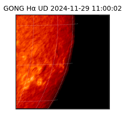 gong - 2024-11-29T11:00:02