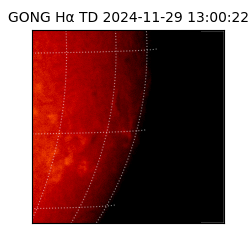 gong - 2024-11-29T13:00:22