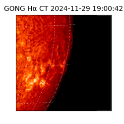 gong - 2024-11-29T19:00:42