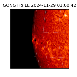 gong - 2024-11-29T01:00:42