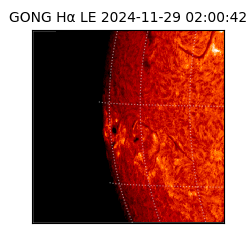 gong - 2024-11-29T02:00:42