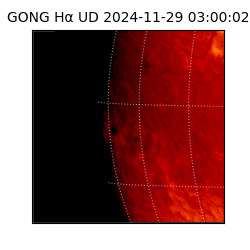 gong - 2024-11-29T03:00:02