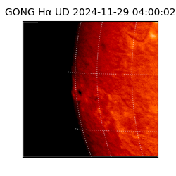 gong - 2024-11-29T04:00:02