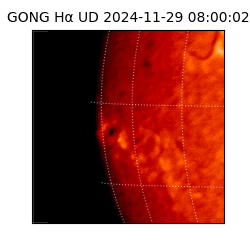 gong - 2024-11-29T08:00:02