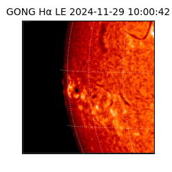 gong - 2024-11-29T10:00:42
