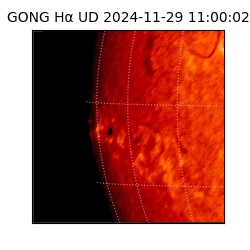 gong - 2024-11-29T11:00:02