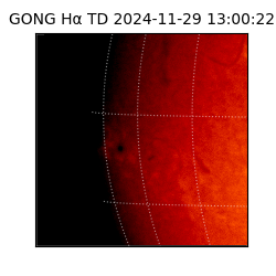 gong - 2024-11-29T13:00:22