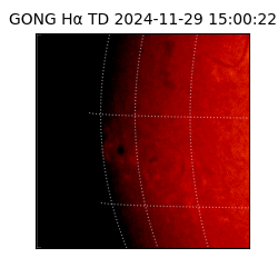 gong - 2024-11-29T15:00:22