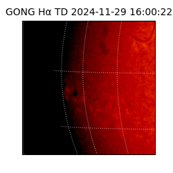gong - 2024-11-29T16:00:22