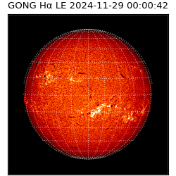 gong - 2024-11-29T00:00:42