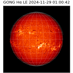 gong - 2024-11-29T01:00:42