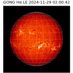 gong - 2024-11-29T02:00:42