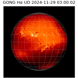 gong - 2024-11-29T03:00:02