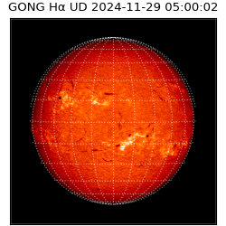 gong - 2024-11-29T05:00:02