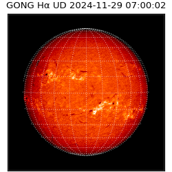 gong - 2024-11-29T07:00:02