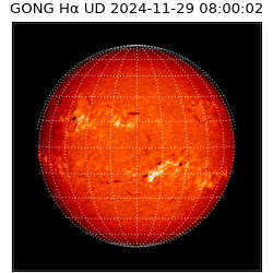 gong - 2024-11-29T08:00:02
