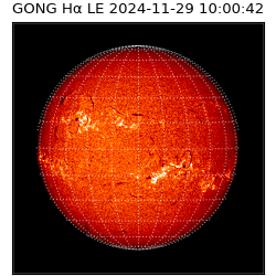 gong - 2024-11-29T10:00:42