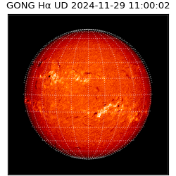 gong - 2024-11-29T11:00:02