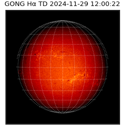 gong - 2024-11-29T12:00:22