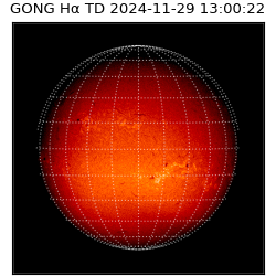 gong - 2024-11-29T13:00:22