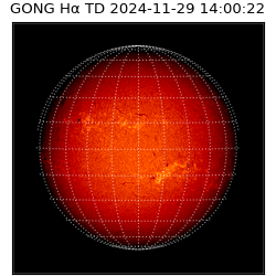 gong - 2024-11-29T14:00:22