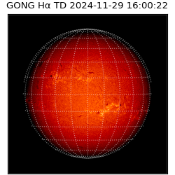 gong - 2024-11-29T16:00:22
