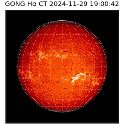 gong - 2024-11-29T19:00:42