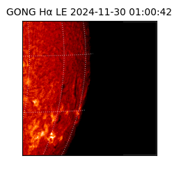 gong - 2024-11-30T01:00:42