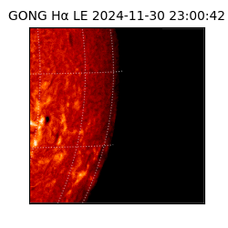 gong - 2024-11-30T23:00:42