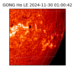 gong - 2024-11-30T01:00:42