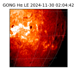 gong - 2024-11-30T02:04:42