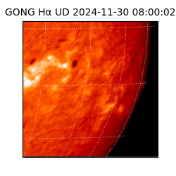 gong - 2024-11-30T08:00:02