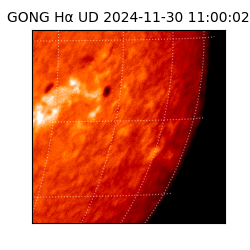 gong - 2024-11-30T11:00:02