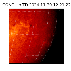 gong - 2024-11-30T12:21:22