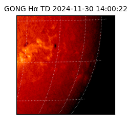 gong - 2024-11-30T14:00:22