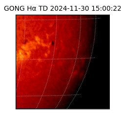 gong - 2024-11-30T15:00:22