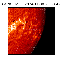 gong - 2024-11-30T23:00:42