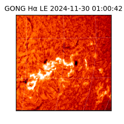 gong - 2024-11-30T01:00:42