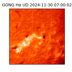 gong - 2024-11-30T07:00:02