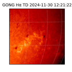 gong - 2024-11-30T12:21:22