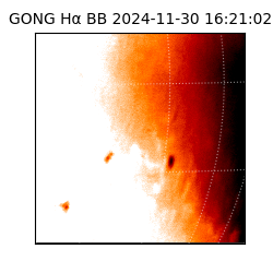 gong - 2024-11-30T16:21:02