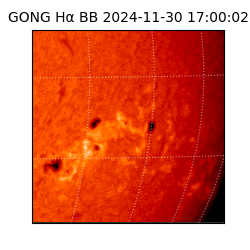 gong - 2024-11-30T17:00:02