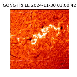 gong - 2024-11-30T01:00:42